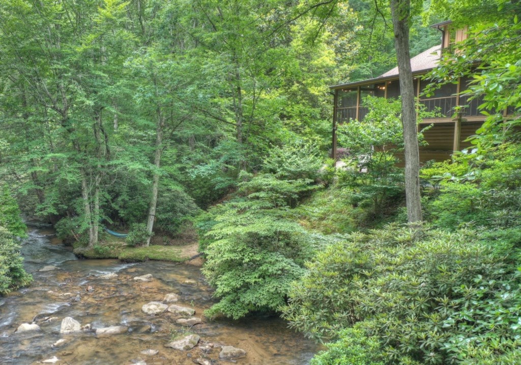 Wooded creek beside At Water's Edge cabin