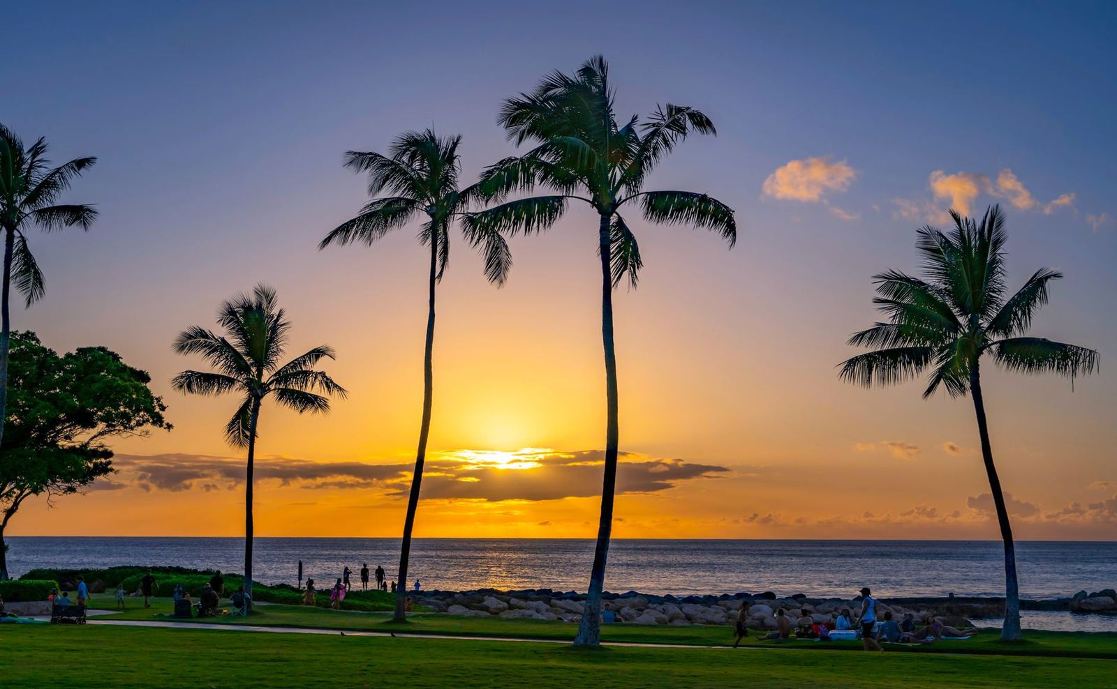 Palm trees at sunset on a Hawaiian shoreline
