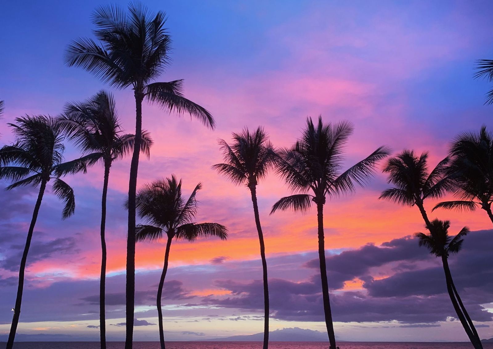 Sunset behind palm trees on a Kihei beach